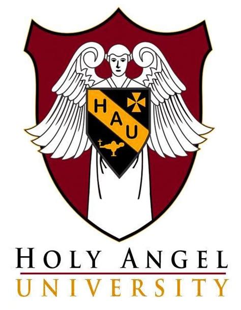 holy angel university|holy angel university canvas.